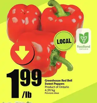 FreshCo Greemhouse red bell peppers sweet peppers offer