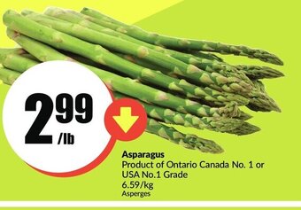 FreshCo Asparagus offer