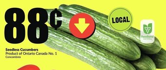 FreshCo Seedless cucumbers offer