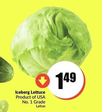 FreshCo Iceberg lettuce offer