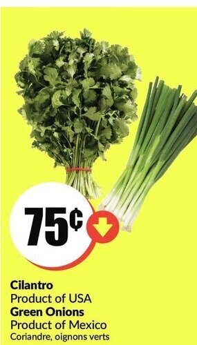 FreshCo Cilantro / Green Onions offer