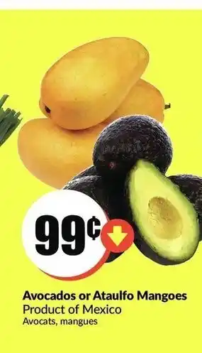 FreshCo Avocados or ataulfo mangoes offer