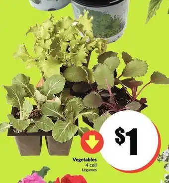 FreshCo Vegetables offer