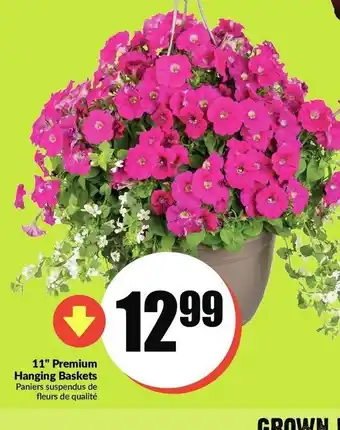 FreshCo 11" Premium hanging basket offer