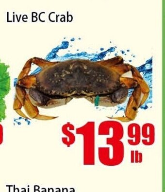 New Pacific Supermarket Live BC Crab offer