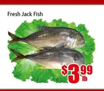 New Pacific Supermarket Fresh Jack Fish offer