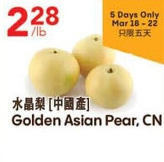 Golden asian pear