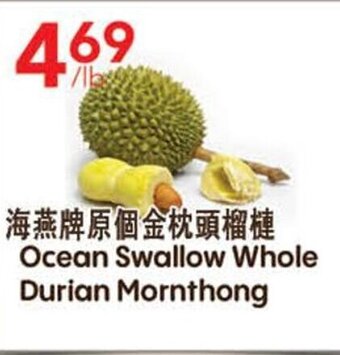 Ocean swallow whole durian mornthong