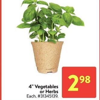 Walmart 4''vegetables or herbs offer
