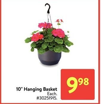 Walmart 10"hanging basket offer