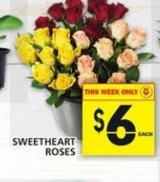 Food Basics Sweetheart roses offer