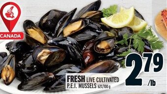 Metro Live cultivated p.e.i mussels offer