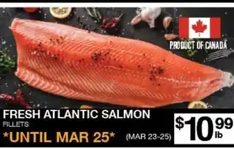 Fresh atlantic salmon