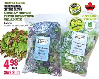 Locally grown fresh downtown salad mix