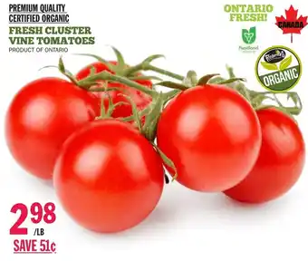 Foodsmiths Fresh cluster vine tomatoes offer