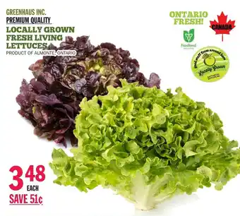 Foodsmiths Locally grown fresh living lettuces offer