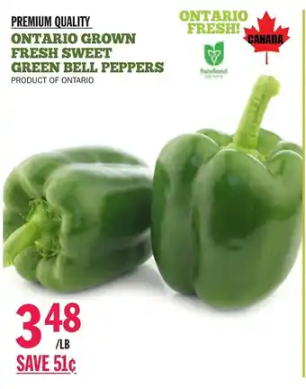 Foodsmiths Ontario grown fresh sweet green bell peppers offer