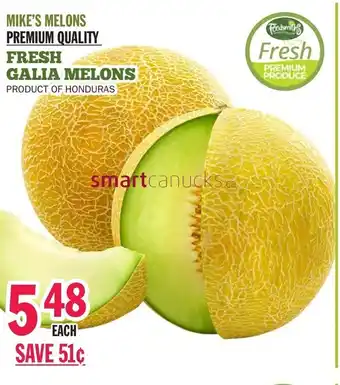 Foodsmiths Fresh galia melons offer