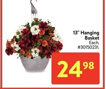 Walmart 13" hanging basket offer