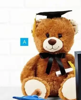 Party City Brown graduation plush bear offer