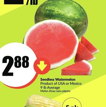 FreshCo Seedless watermelon offer