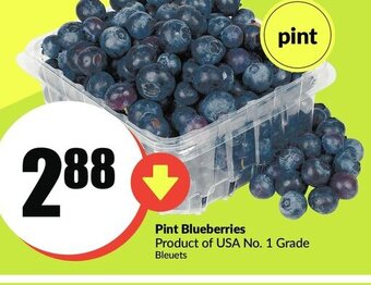 FreshCo Pint Blueberries offer