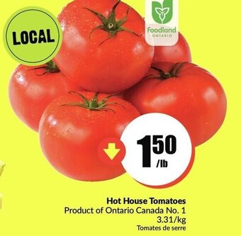 FreshCo Hot house tomatoes offer