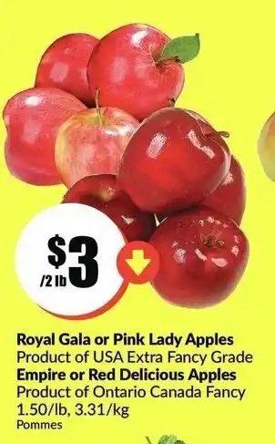 FreshCo Royal gala or pink lady apples offer