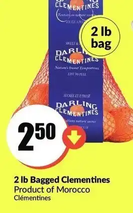 FreshCo 2lb Bagged clementines offer