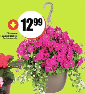 FreshCo 11" Premium hanging baskets offer