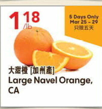 Lucky Supermarket Large Navel Orange offer