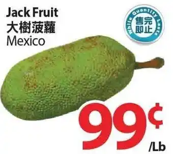 T&T Supermarket Jack fruit offer