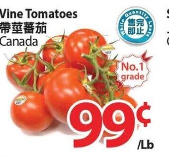T&T Supermarket Vine tomatoes offer