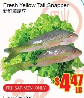 Fu Yao Supermarket Fresh yellow tail snapper offer