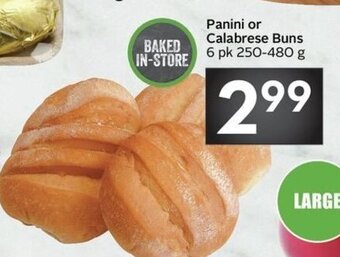 Sobeys Panini or calabrese buns offer