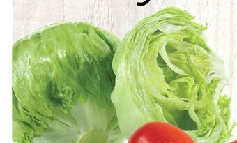 Sobeys Iceberg lettuce offer