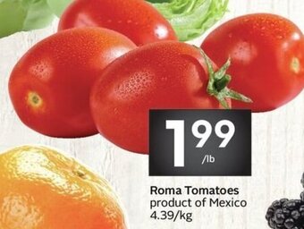 Sobeys Roma tomatoes offer