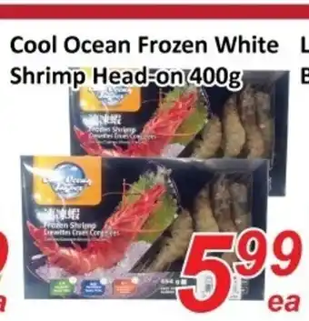 Cool ocean frozen white shrimp head