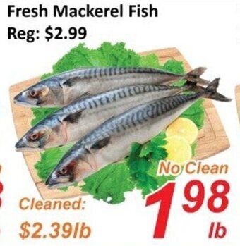 Fresh Win Foodmart Fresh mackerel fish offer