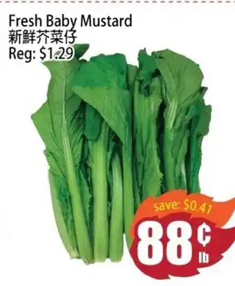 Field Fresh Supermarket Fresh baby mustard offer
