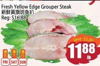 Fresh yellow edge grouper steak