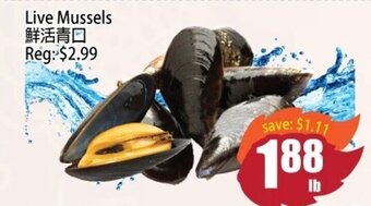 Field Fresh Supermarket Live mussels offer