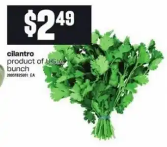 Dominion Cilantro offer