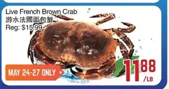 C&C Supermarket LIve french brown crab offer