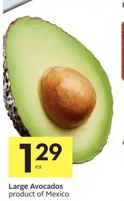 Foodland Large avocados offer
