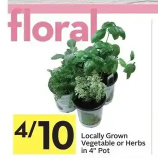 Foodland Locally grown vegetable or herbs in 4" pot offer