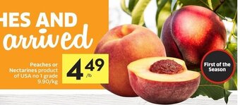 Foodland Peaches or nectarines offer