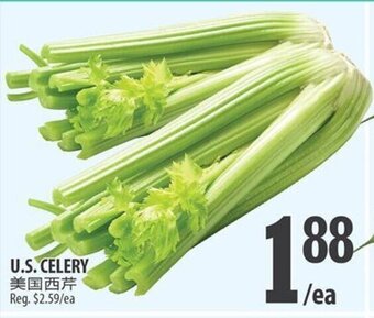 Al Premium Food Mart U.S Celery offer