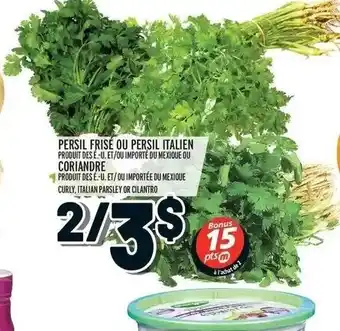Metro Persil frisé ou persil italien offer