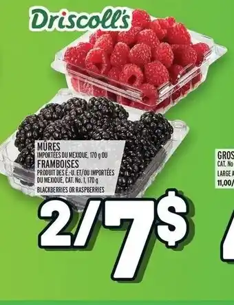 Metro Mûres framboises offer